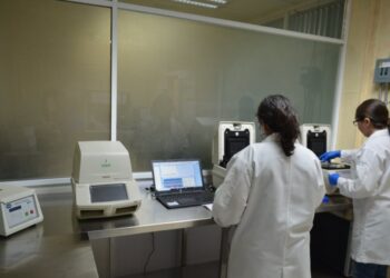  332 nuevos casos positivos de Covid en Tamaulipas y 30 fallecimientos