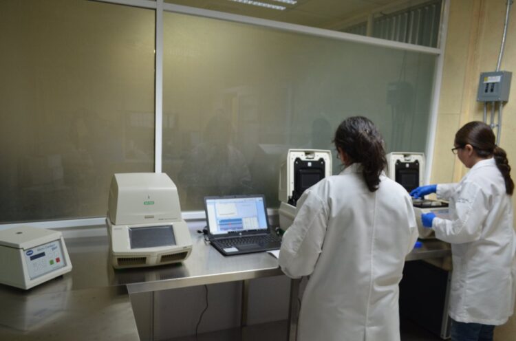 332 nuevos casos positivos de Covid en Tamaulipas y 30 fallecimientos