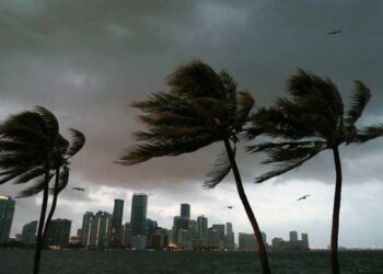 Trump aprueba declaración de emergencia para costa de Florida por Isaías