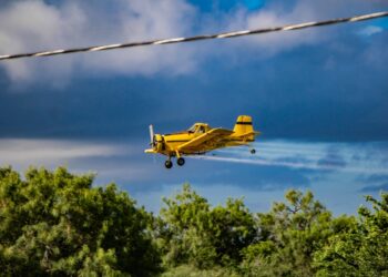 Tras inundaciones, combaten zancudo vía aérea en Matamoros