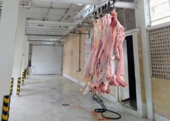 Bajan restricciones  sacrificios en Rastro