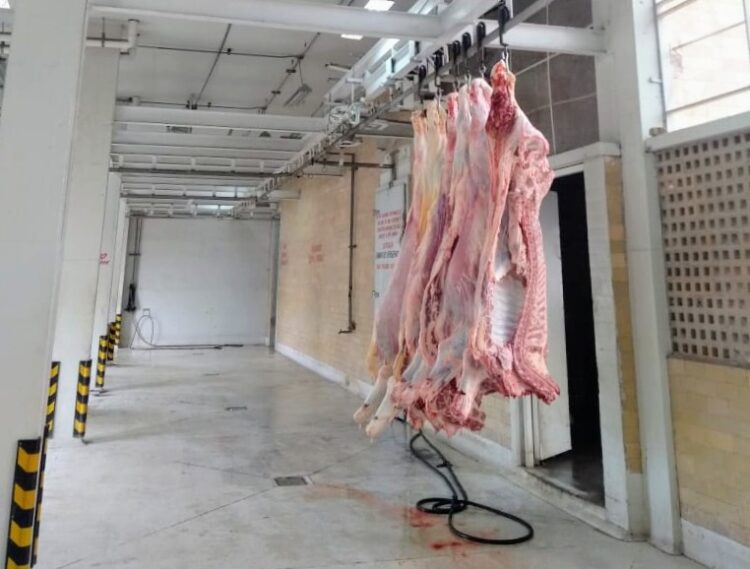 Bajan restricciones  sacrificios en Rastro