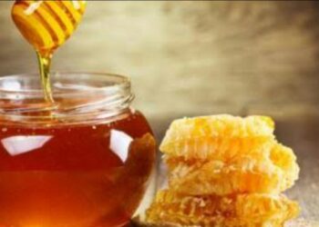 Beneficia inmovilidad social a la apicultura