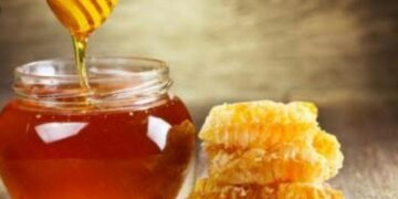 Beneficia inmovilidad social a la apicultura