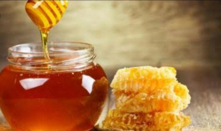 Beneficia inmovilidad social a la apicultura