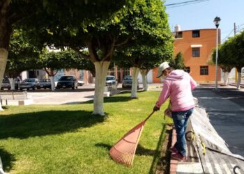 Campaña de limpieza y bacheo por parte de los ciudadanos en Victoria
