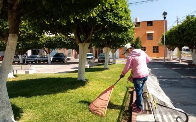 Campaña de limpieza y bacheo por parte de los ciudadanos en Victoria