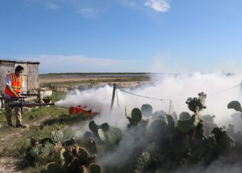 Inician en Matamoros Campaña de fumigación para erradicar mosco transmisor del dengue