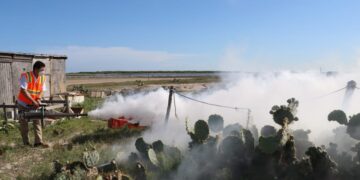 Inician en Matamoros Campaña de fumigación para erradicar mosco transmisor del dengue