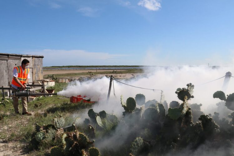 Inician en Matamoros Campaña de fumigación para erradicar mosco transmisor del dengue