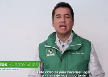 Va partido verde sin alianzas