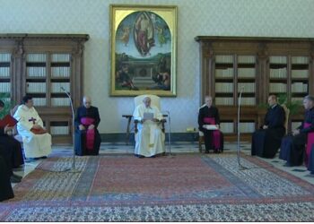 Sin colaboración y sin ayudar a los más débiles “no podremos curar el mundo”: Papa Francisco