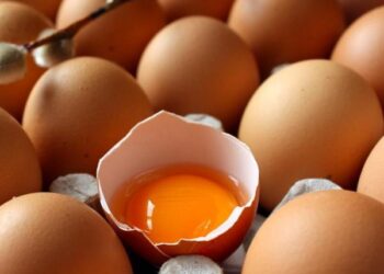 ¿Cómo saber si un huevo está malo?