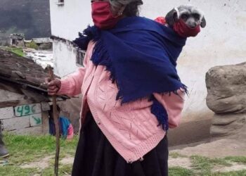 Conoce a la abuelita que carga a su perrito en la espalda, usando mascarilla y enamorando a Internet.