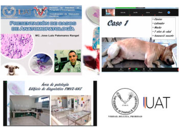 Imparte UAT temas sobre patologías en animales domésticos