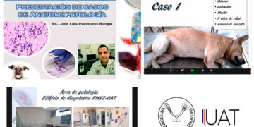 Imparte UAT temas sobre patologías en animales domésticos
