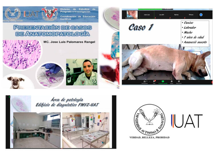 Imparte UAT temas sobre patologías en animales domésticos