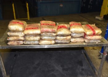 Hallan 50 kilos de metanfetamina en tráiler