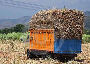 Ingenio de Xicoténcatl apoyará a cañeros a derivar producción a otros