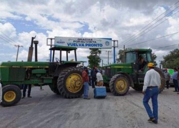 Urgen a AMLO y SADER concretar auxilio a sorgueros de Tamaulipas, están quebrados