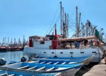 Olga Sosa exhorta a la SHCP a revisar apoyos al subsidio del diésel marino