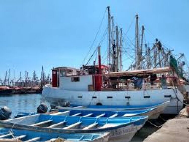 Olga Sosa exhorta a la SHCP a revisar apoyos al subsidio del diésel marino