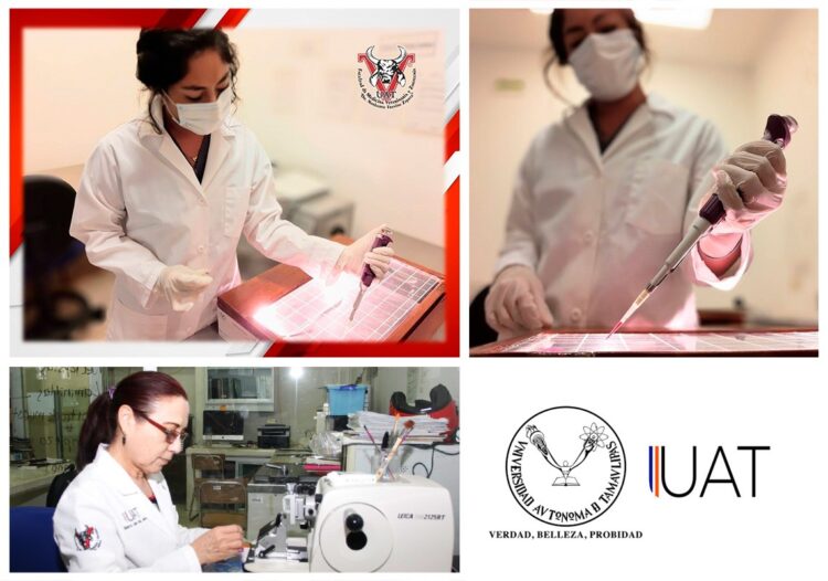 Reacredita SENASICA laboratorio de diagnóstico de la FMVZ-UAT