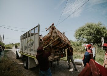 Beneficia a diversas colonias programa “Descacharrizando Matamoros”