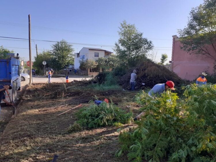 Controlará reglamento los lotes baldíos