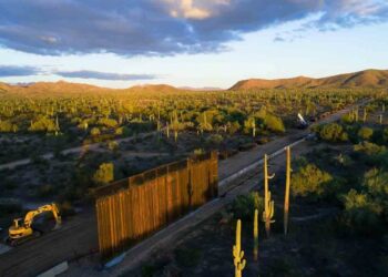 Colocan cámaras en muro de Trump; documentarán impacto en especies protegidas