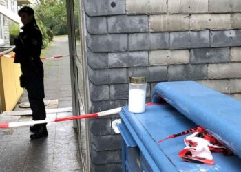 Hallan 5 niños muertos en Alemania; mamá grave tras fallar suicidio
