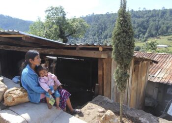 Paquete económico para 2021 ‘viene ajustado’, para lo básico