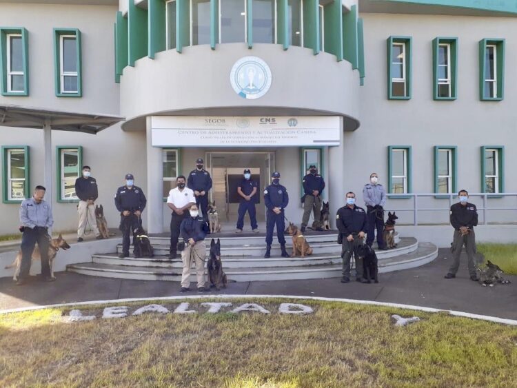 Reciben capacitación Binomios Caninos de la Fiscalía de Tamaulipas