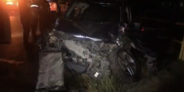 Chofer destroza camioneta al estrellarse con palmera