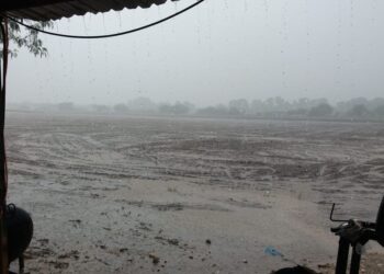 Urgen sorgueros de Tamaulipas a Villalobos atender compromiso de AMLO del 28 de Agosto