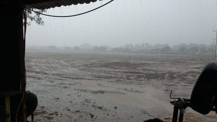 Urgen sorgueros de Tamaulipas a Villalobos atender compromiso de AMLO del 28 de Agosto