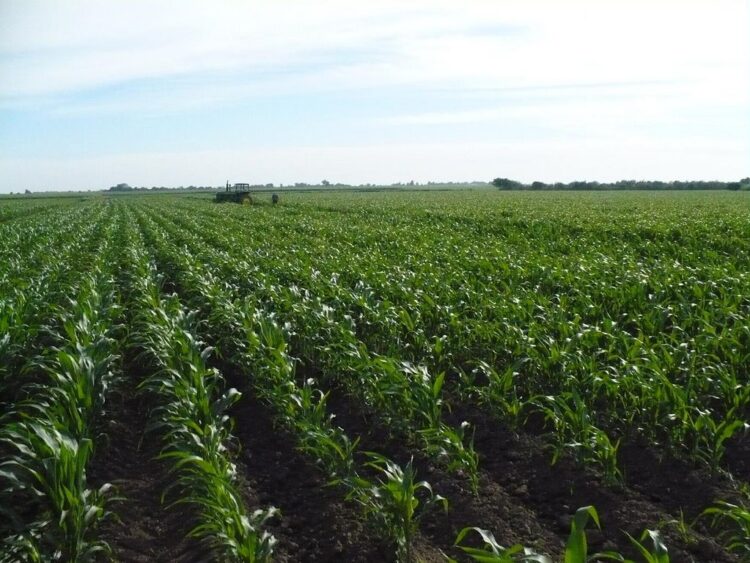 Rechazan 18 organizaciones raquítico presupuesto al campo; urgen a Diputados rescatar agro