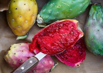 ¿Conoces todas las variedades de tunas mexicanas?