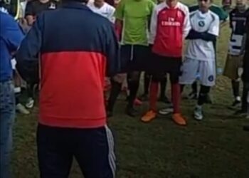 Siembra semilla PROFUTBRA