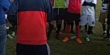 Siembra semilla PROFUTBRA