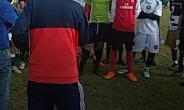 Siembra semilla PROFUTBRA