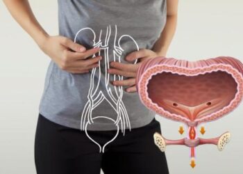 Dato Interesante: ¿Por qué nos dan ganas de orinar cuando estamos nerviosos?