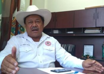 Acusa la CNC de Tamaulipas de traidores a 5 diputados federales