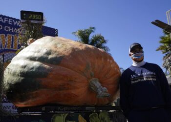 Calabaza de mil 066 kilos gana concurso en California
