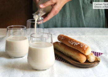Receta fácil para el agua de Horchata de chufa estilo España