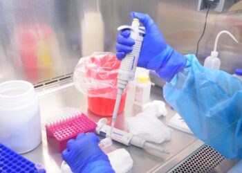 Tamaulipas reporta 74 nuevos casos de coronavirus y 14 muertos