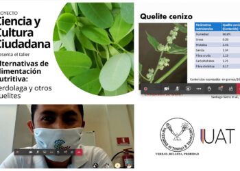 Destacan investigadores de la UAT alimentación con verduras alternativas