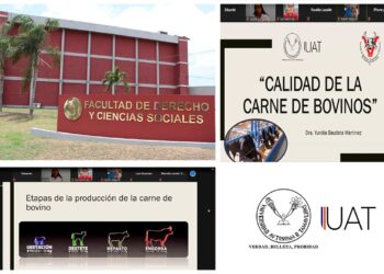 Influye estrés en la calidad de la carne de bovinos