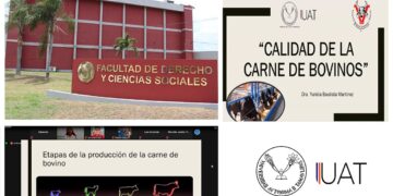 Influye estrés en la calidad de la carne de bovinos