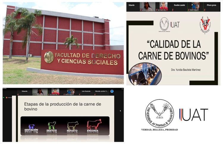 Influye estrés en la calidad de la carne de bovinos